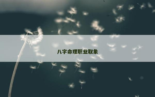 八字命理职业取象