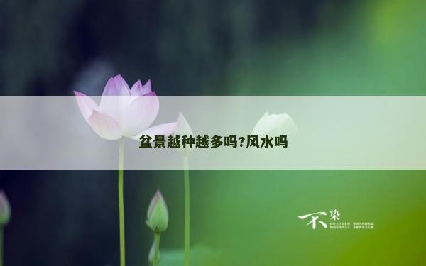 盆景越种越多吗?风水吗