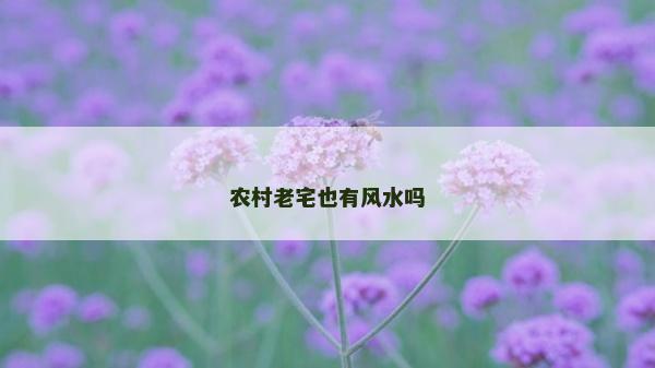 农村老宅也有风水吗