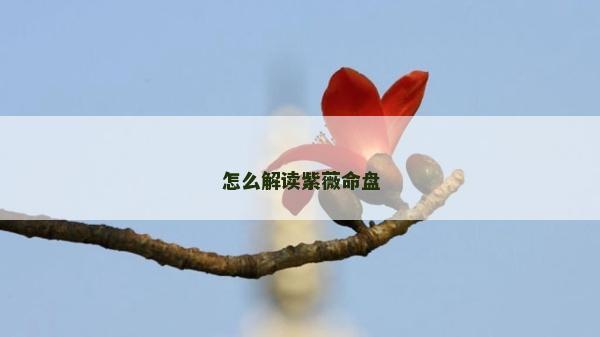 怎么解读紫薇命盘