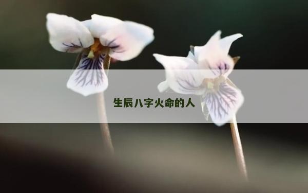 生辰八字火命的人
