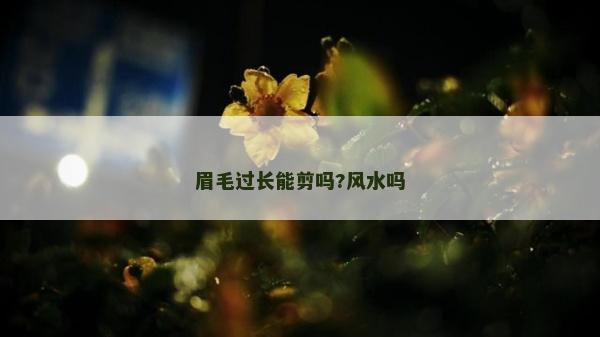眉毛过长能剪吗?风水吗