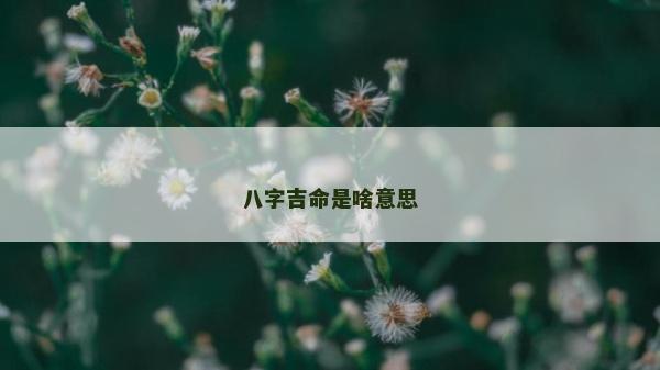 八字吉命是啥意思