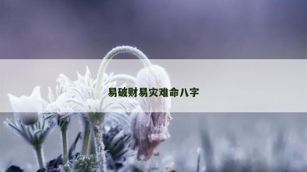 易破财易灾难命八字