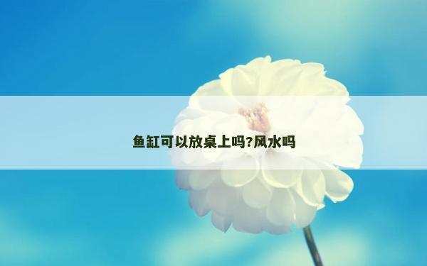鱼缸可以放桌上吗?风水吗