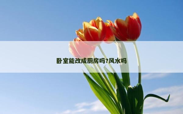 卧室能改成厨房吗?风水吗
