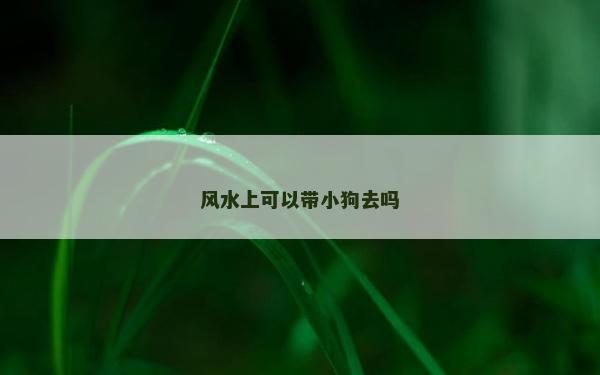 风水上可以带小狗去吗