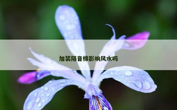 加装隔音棉影响风水吗