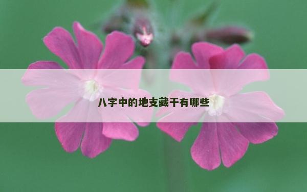 八字中的地支藏干有哪些
