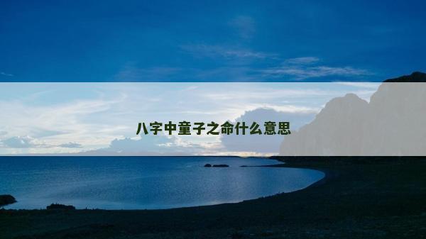 八字中童子之命什么意思
