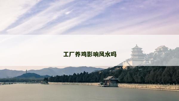 工厂养鸡影响风水吗