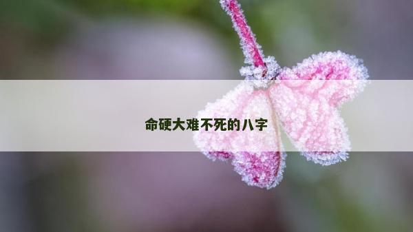 命硬大难不死的八字