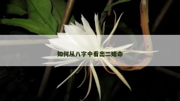 如何从八字中看出二婚命