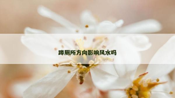 蹲厕所方向影响风水吗