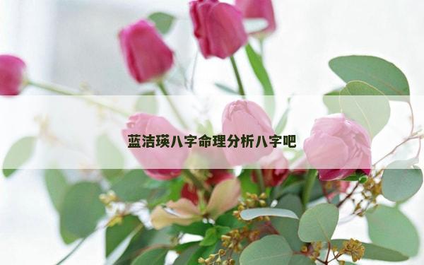 蓝洁瑛八字命理分析八字吧
