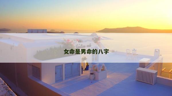 女命是男命的八字