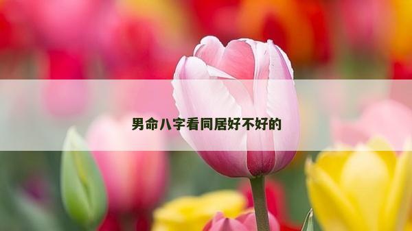 男命八字看同居好不好的