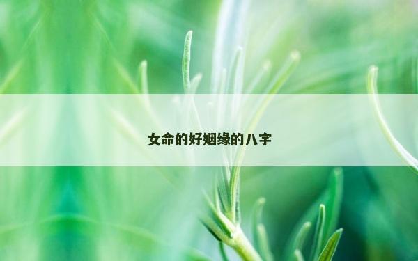 女命的好姻缘的八字