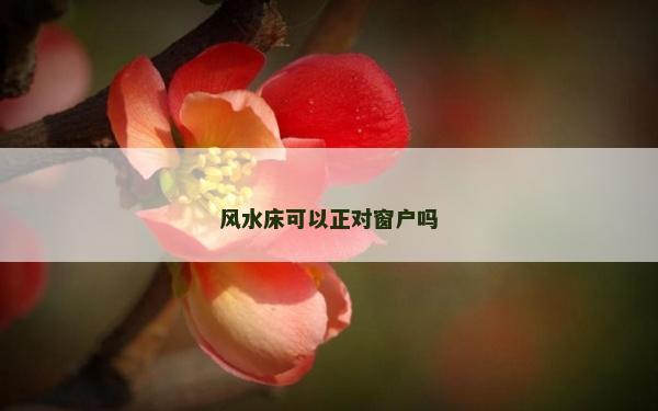 风水床可以正对窗户吗