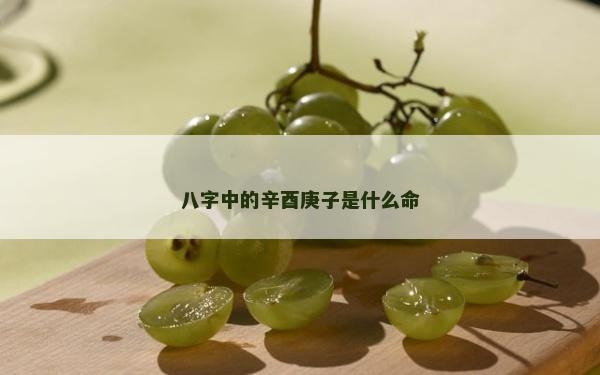 八字中的辛酉庚子是什么命