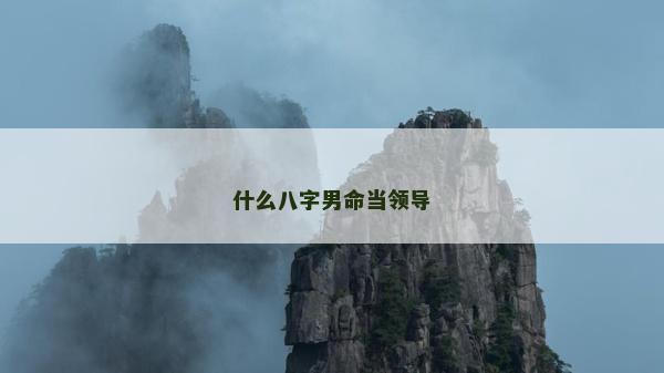 什么八字男命当领导
