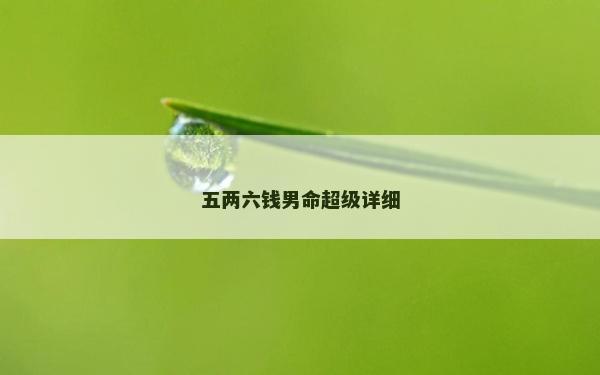 五两六钱男命超级详细