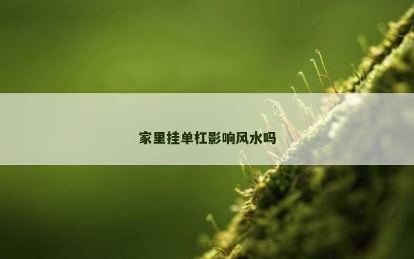 家里挂单杠影响风水吗