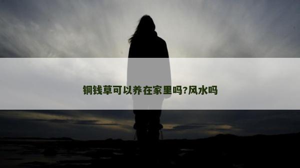 铜钱草可以养在家里吗?风水吗