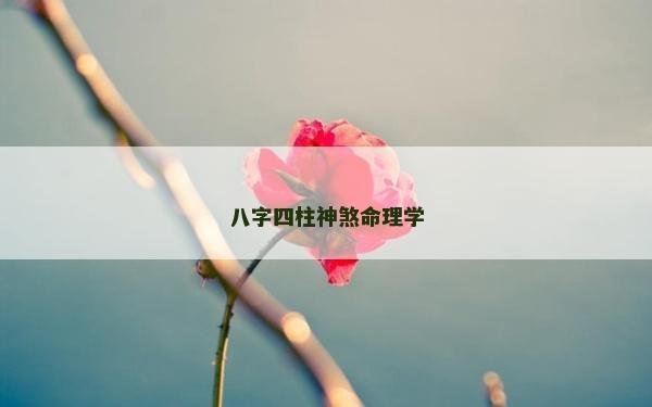 八字四柱神煞命理学