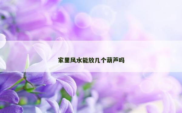 家里风水能放几个葫芦吗
