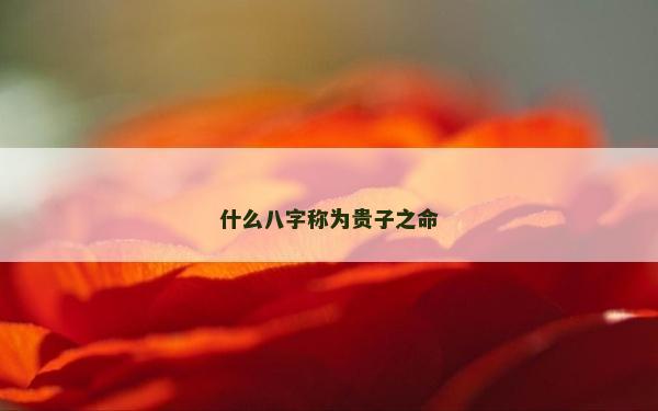 什么八字称为贵子之命