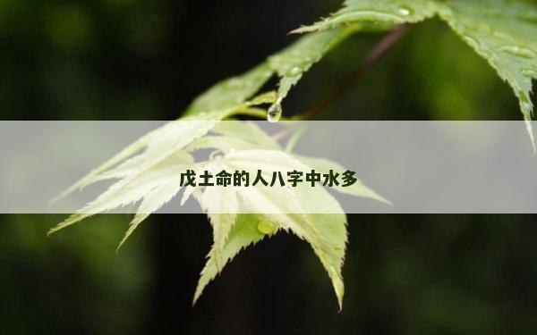 戊土命的人八字中水多