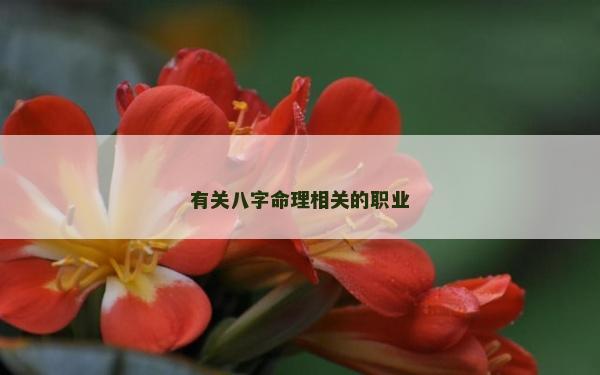 有关八字命理相关的职业