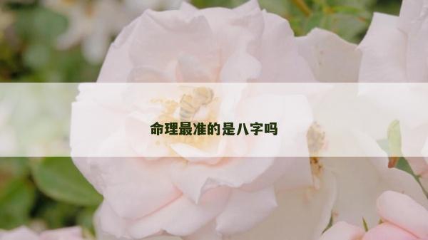命理最准的是八字吗