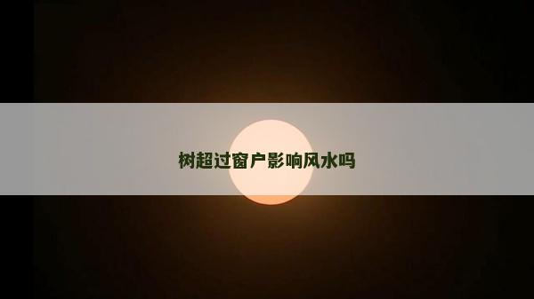 树超过窗户影响风水吗