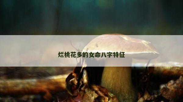烂桃花多的女命八字特征