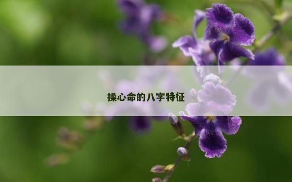 操心命的八字特征