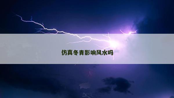 仿真冬青影响风水吗