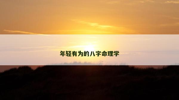 年轻有为的八字命理学