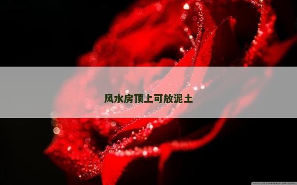 风水房顶上可放泥土