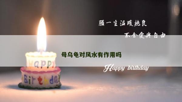 母乌龟对风水有作用吗