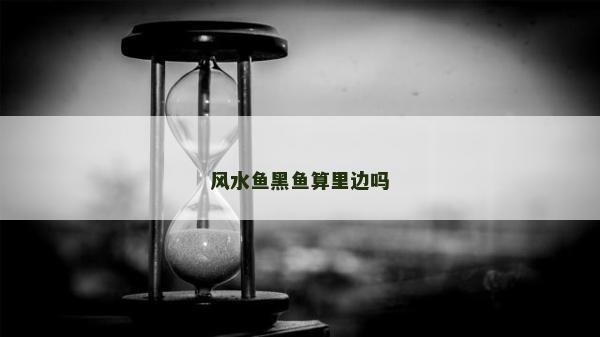 风水鱼黑鱼算里边吗