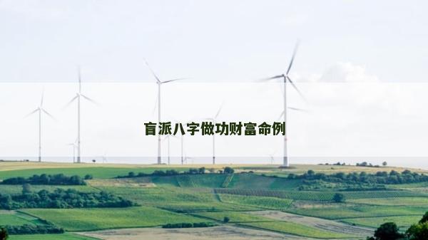 盲派八字做功财富命例