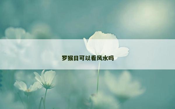 罗猴日可以看风水吗