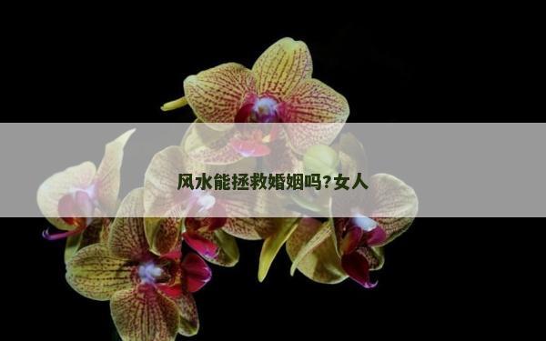 风水能拯救婚姻吗?女人