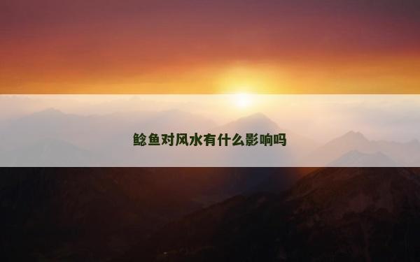 鲶鱼对风水有什么影响吗