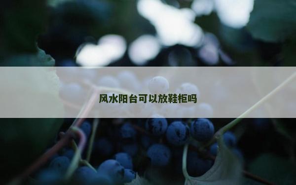 风水阳台可以放鞋柜吗