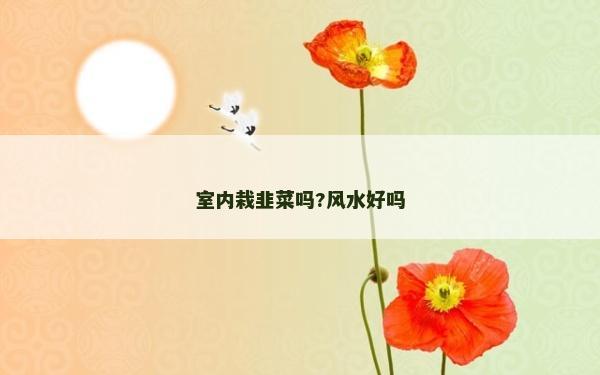 室内栽韭菜吗?风水好吗