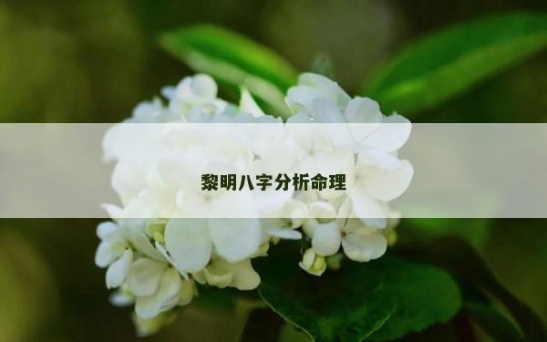 黎明八字分析命理