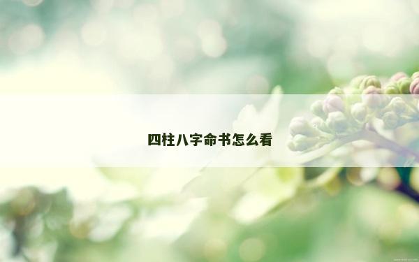 四柱八字命书怎么看